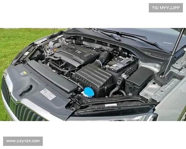 全新速派EA888 动力总成解析